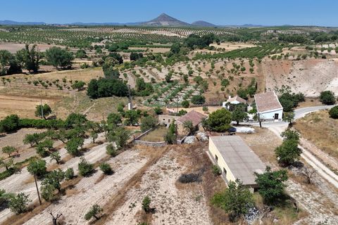 Cortijo i Chirivel, Almeria, Chirivel - € 310 000 | Ref: 3008-CH - foto 3